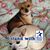 Jill Johnson Conley's profile image