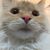 Bill Weed's profile image