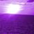 Leslie Shuster's profile image