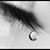 Daniele Almeida's profile image