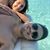 Elias Aiza Ramirez's profile image