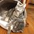 Holly Papovich's profile image