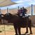 Helen Hammond's profile image
