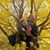 Tim Cole's profile image