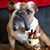Katie Flath's profile image