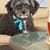 Brandy Kulka's profile image