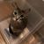 Shelley Felthaus Paull's profile image