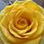 Robin S. Sloan's profile image