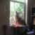 Elaine Barker's profile image