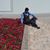 Vikram Vikram's profile image