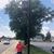 Shirley Roebuck's profile image
