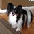 Rick Seccareccio's profile image