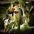 Billy Fetzer's profile image