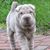 Mary Westerfield Norton's profile image