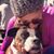 Maya Morrill's profile image