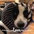 Teresa Kirtley Gearhart's profile image