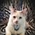 Michelle Behlen's profile image