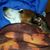 Marla White's profile image