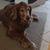 Michelle Eichelman Clifton's profile image