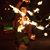 Tammi Tams Hipps's profile image
