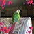 Patti Spada's profile image