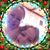 Jennifer Dettelback's profile image
