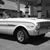 Jeff Steele's profile image