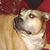 PeriWiggle Mason's profile image