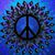 Barbara Corgiat's profile image