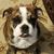 Peggy Jo Crawford's profile image