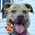 Jennifer Thomas's profile image
