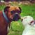 Tammy Bailey Brooks's profile image