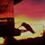 Donna McCane Wilson's profile image