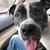 Kevin D Greiner's profile image