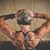 Kathi Knickerbocker Shipley's profile image