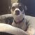 Charlene Jones Wagner's profile image