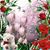 Francisca Duran's profile image
