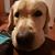 Ashley Orsaba-Finders's profile image