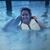 Ashley Keathley Banesse's profile image