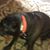 Bonnie Lawton's profile image