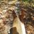 Linda Ginther's profile image