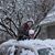 Nori Blann Burkhardt's profile image
