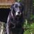 Allan Woolley's profile image