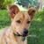 Coleen O'Hanley's profile image