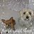 Lillian Rivera's profile image