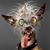 Peter Makeyev's profile image