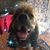 Kimberly Caris's profile image
