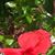 Evelyn O'callaghan's profile image