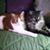 RoseAnn Lockman's profile image