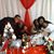 Charmaine Miller-Hill's profile image